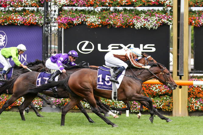 Mick Dee throws Legarto across the for a sensational win at Flemington - Photo: Bruno Cannatelli