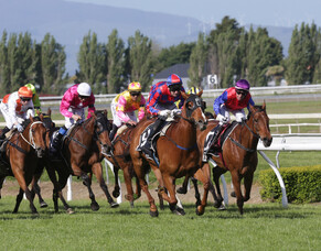Steel Stilettos going super at stud