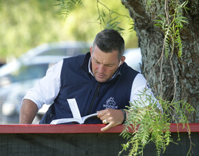 Zebrowski brightens Windsor Park bubble