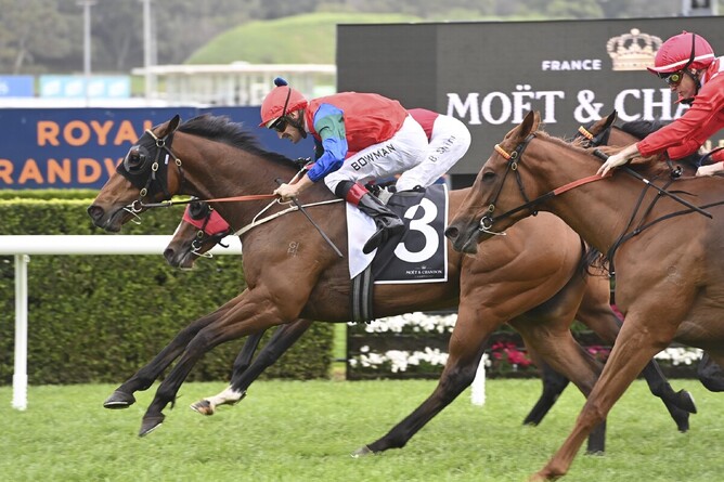 Sharp ‘N’ Smart wins the Gr.1 Spring Champion Stakes (2000m) at Royal Randwick - Photo: Bradleyphotos.com.au