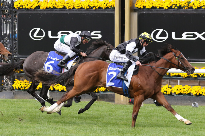 Krakarib winning the Gr.3 Maribyrnong Plate (1000m) at Flemington on Tuesday. - Photo: Bruno Cannatelli