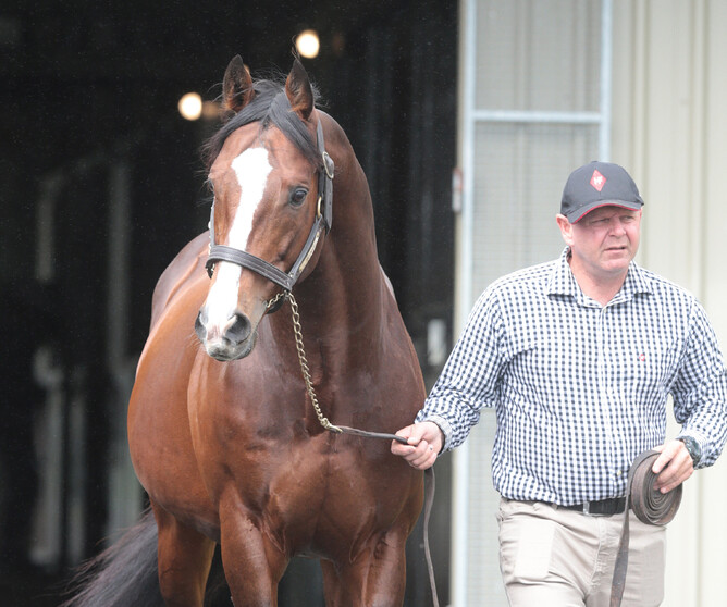 Filly becomes third first-crop winner for Belardo | New Zealand ...