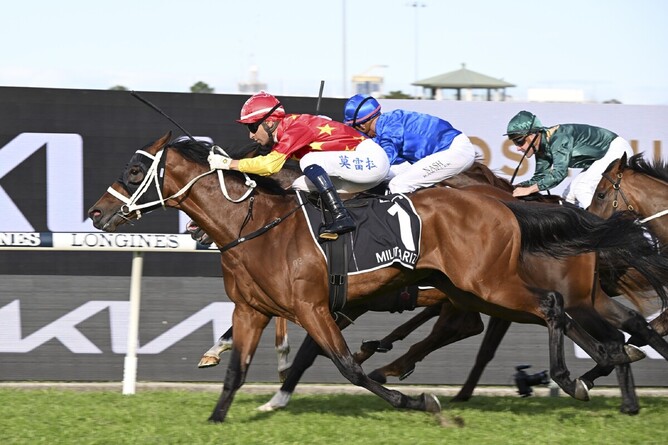 Militarize overcomes an interrupted run to take out the Gr.1 Golden Rose at Rosehill. - Bradleyphotos.com.au