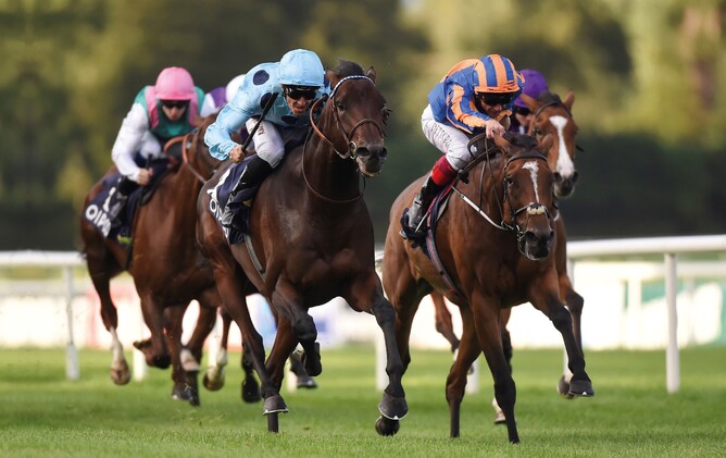 Almanzor (outer) winning the 2016 Gr.1 Irish Champion Stakes (2000m) - Cambridge Stud