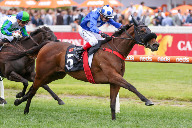 Wrote To Arataki achieves breeder’s dream result | New Zealand ...