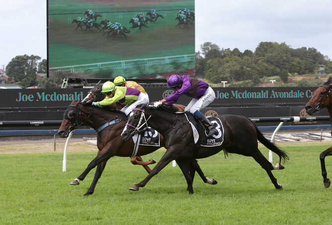 Polzeath (Pentire - Arniston) wins the Gr.2 Joe McDonald Avondale Cup - photo Trish Dunell