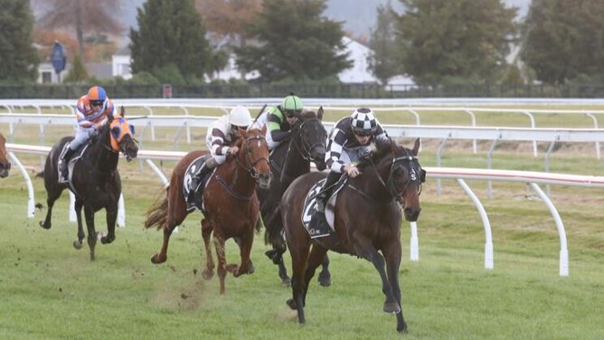Sinarahma has the situation well under control as she takes out the Gr.3 Campbell Infrastructure Rotorua Cup (2200m)  - Photo: Trish Dunell