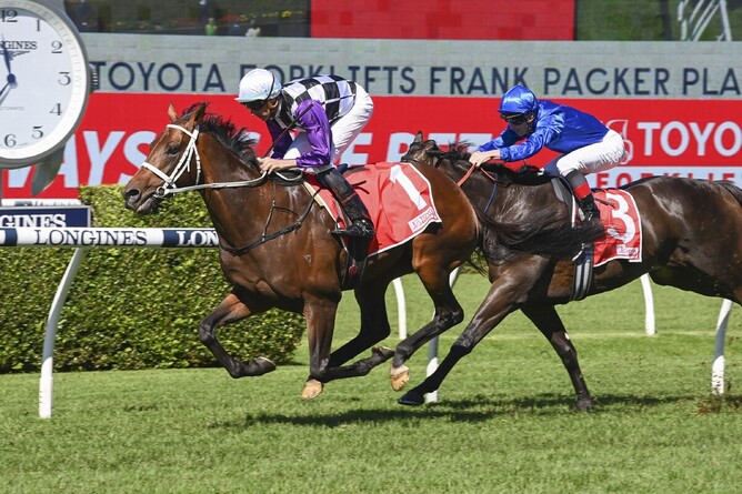 Osipenko makes short work of his opposition in the Gr.3 Frank Packer Plate (2000m) at Randwick - Photo: Bradleyphotos.com.au