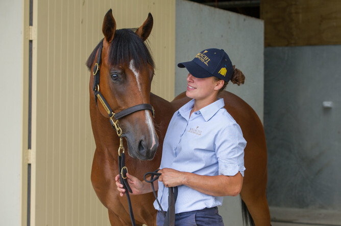 Lot 394 - Kingman x Miss Olive colt with yearling manager Sam Kennerley - Michael Rist