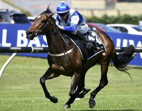Stakes double for Westbury roster