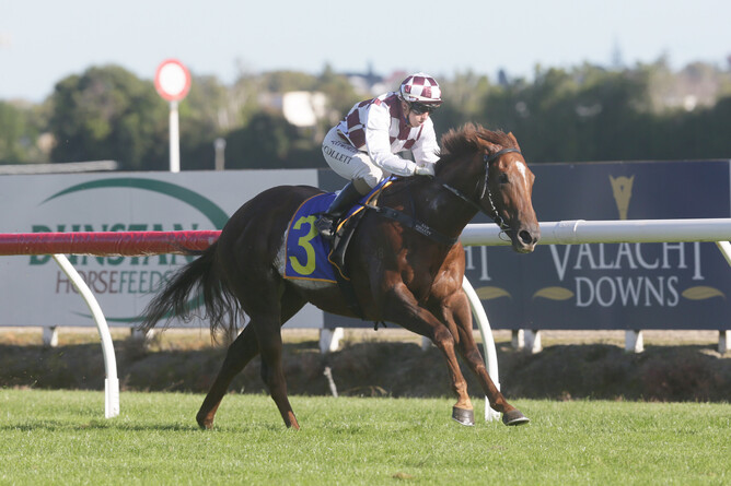Babylon Berlin is low flying as she heads to the winning post at Te Rapa Photo Credit: Trish Dunell