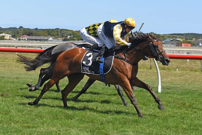 Race Ace will contest the Listed New Zealand Bloodstock Warstep Stakes (2000m) at Riccarton on Saturday - Photo: Peter Rubery (Race Images Palmerston North)