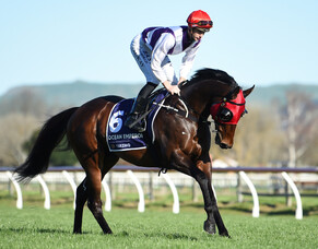 Emperor to stand at Weowna Park