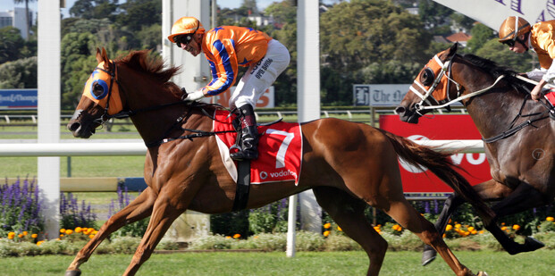 Gingernuts 2017 NZ Derby - Pic: Trish Dunell