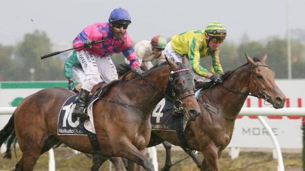 Underthemoonlight (outside) beats Close Up in the Foxbridge Plate