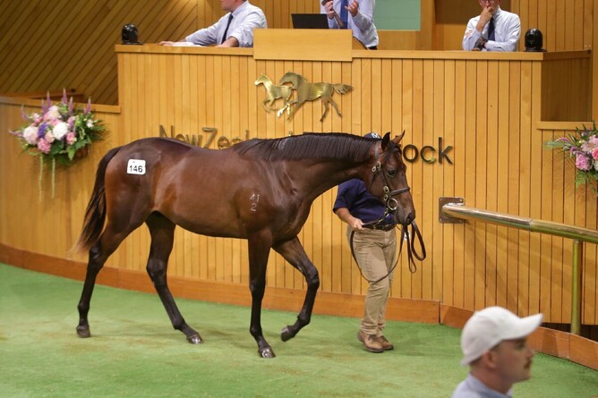 Patella Bloodstock went to $700,000 to secure Lot 146 by Super Seth. - Photo: Trish Dunell