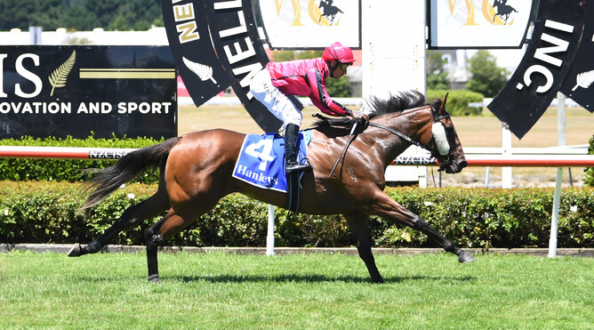 Hanalei surges clear to win the Listed IRT Wellesley Stakes (1100m) at Trentham Photo Credit: Race Images – Peter Rubery