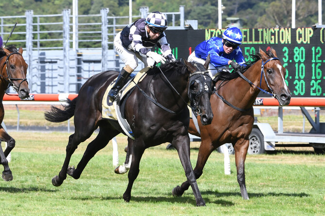 Sam Collett brings Waisake with a storming run to take out the Gr.3 NZ Campus of Sport & Innovation Wellington Cup (3200m) at Trentham Photo Credit: Race Images – Grant Matthew