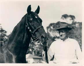 Shout The Bar and the Foxbridge Connection