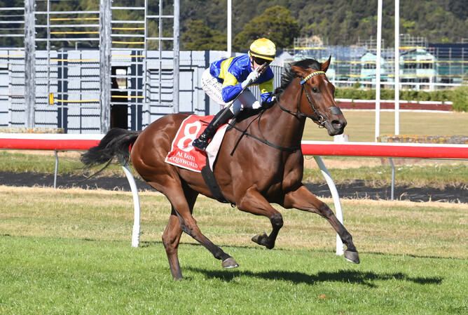 Kyle Wilson-Taylor guides Grail Seeker to a comfortable victory in the Gr.2 Life Direct Wellington Guineas (1400m) at Trentham on Saturday - Photo: Peter Rubery (Race Images Palmerston North)