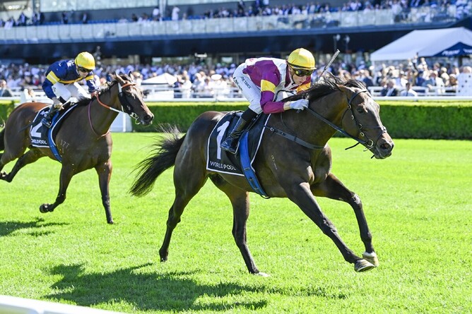 Blake Shinn rides Evaporate to victory in the Carbine Club Stakes at Randwick.  - Photo: bradleyphotos.com.au