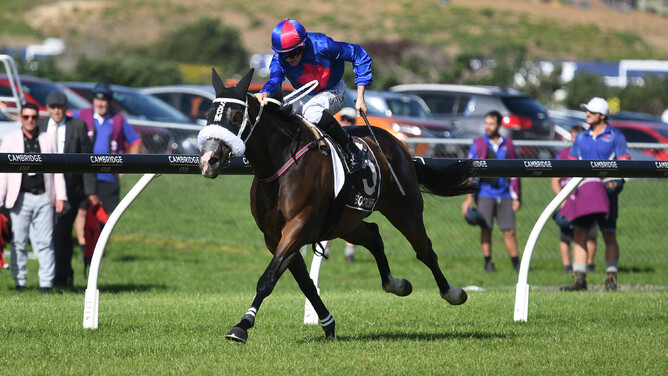 El Vencedor (Joe Doyle) scores an upset win in the Gr. 1 Bonecrusher New Zealand Stakes. - Photo: Kenton Wright