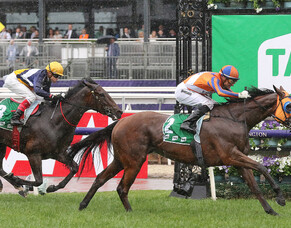 Melody Belle retains NZ Horse of the Year title