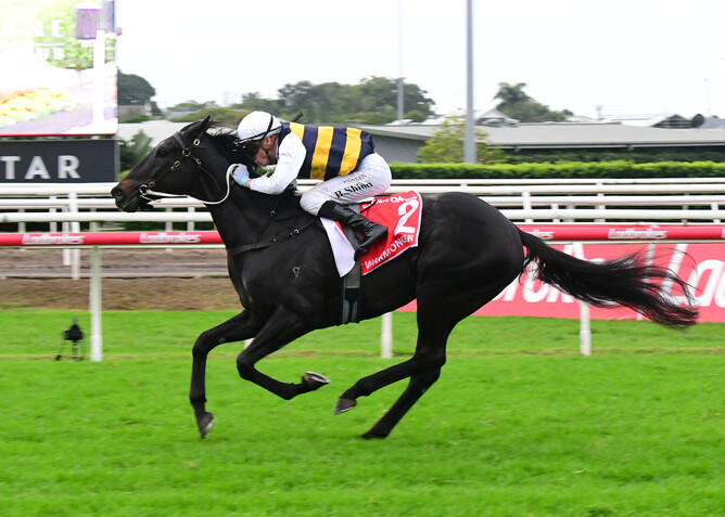 Warmonger makes easy work of his rivals when winning the Gr.1 Queensland Derby at Eagle Farm.  - Photo: Grant Peters, Trackside Photography
