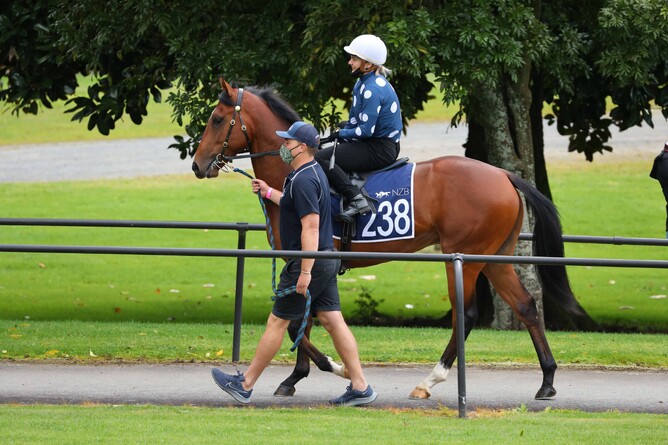 Lot 238, the Deep Field colt out of Riversley Park’s draft, was purchased for $400,000 by Dean Hawthorne and Ricky Yiu. Photo: Photo: Mike Walen