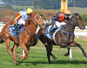 Hard Merchandize scores another impressive 2YO win