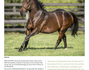 2020 New Sires- Ribchester