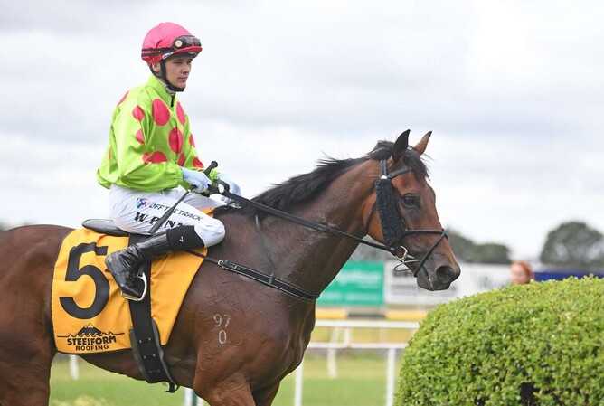 Investigate will contest the Gr.3 Trelawney Stud Championship Stakes (2100m) at Ellerslie on Saturday.   - Photo: Race Images Palmerston North