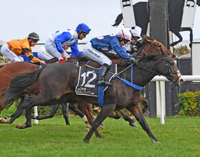 First NZ winner for Wrote