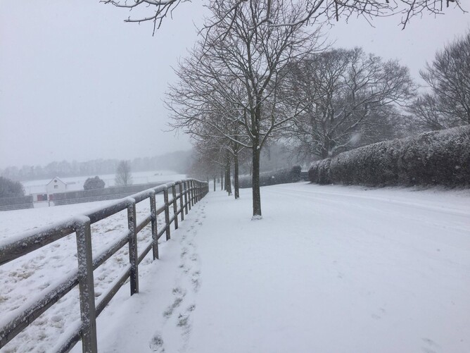 Paddocks covered in snow Cheveley Park stud