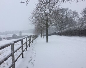 Sunline Scholarship recipient David Morris&#039;s first blog from Cheveley Park Stud