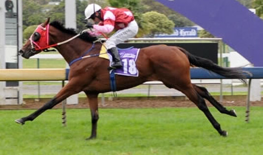 'Time Keeper' comes home for a win in the Easter Handicap - Picture by Trish Dunell