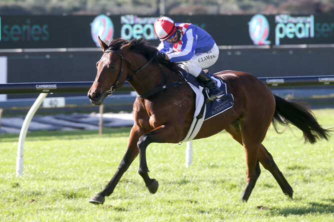Exciting prospect Shoshone registers the first winner for her sire, Sacred Falls, with a debut victory at Ellerslie - Trish Dunell