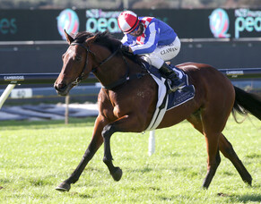 First winner on the board for Sacred Falls