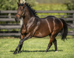 Another winner for Ribchester