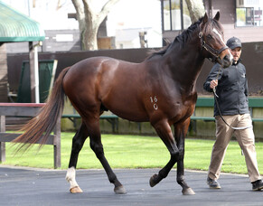 Stakes success for ill-fated Atlante