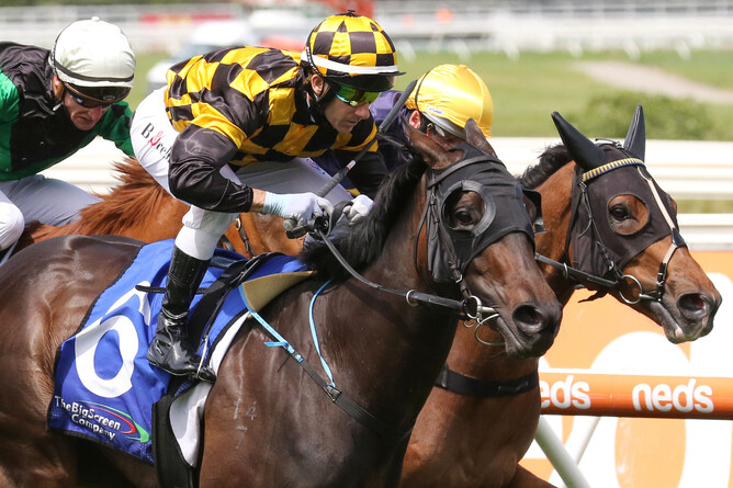 Kahma Lass swoops to victory in the Listed Weekend Hussler  (1400m) Photo Credit: Bruno Cannatelli