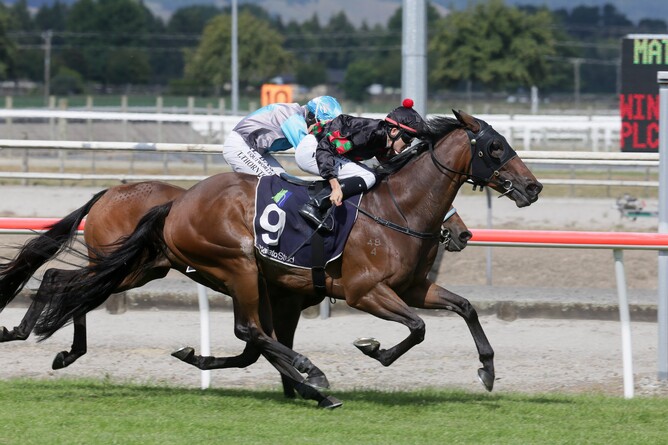 Paisley Park (outer) battles hard to take out the Listed Matamata Veterinary Services Kaimai Stakes (2000m) Photo Credit: Trish Dunell