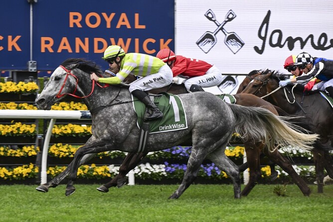Lekvarte Storms Home to Win James Squire Angst Stakes (1600m) at Randwick - Photo: bradleyphotos.com.au