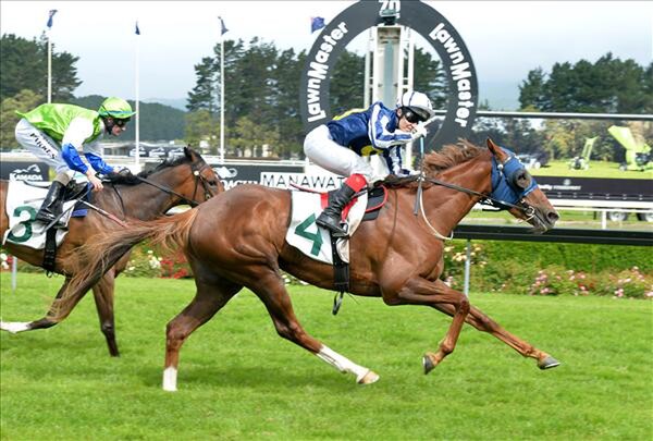 Choice wins the Eulogy Stakes at Manawatu on 13/12/14