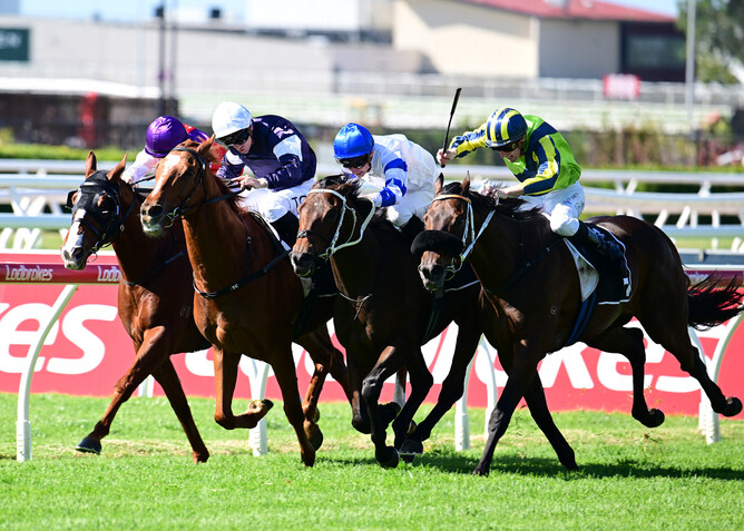Kukeracha (Blue cap) prevails in a tight finish to the Gr.3 Living Turf Premier’s Cup (2400m) - Photo: Grant Peters