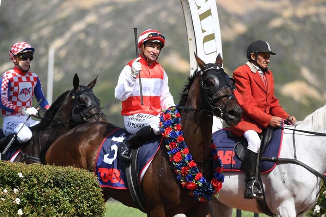 Ladies Man after winning last Saturday's Gr.1 TAB Mufhasa Classic (1600m) at Trentham.   - Photo: Peter Rubery, Race Images