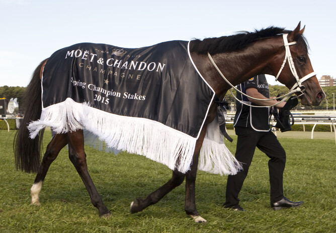 Vanbrugh parades following success in the Gr.1 Spring Champion Stakes at Randwick