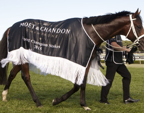 Group One winner Vanbrugh retires