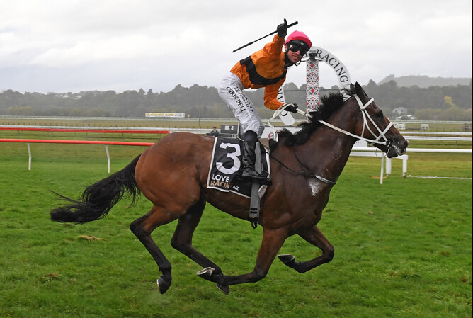 A triumphant Chris Dell celebrates Testify Me's victory in Saturday’s Listed Hawke’s Bay Cup (2200m) at Otaki.  - Photo: Peter Rubery (Race Images PN)