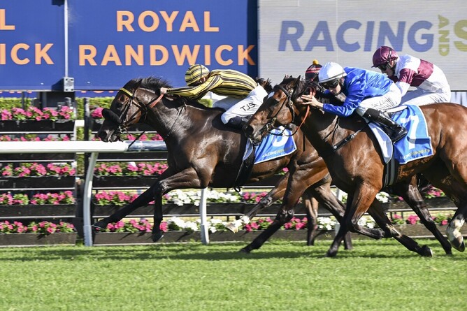 Jedibeel was explosive in the Listed Razor Sharp Handicap (1200m) at Randwick on Saturday - Photo: bradleyphotos.com.au